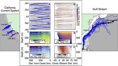 Global Perspectives on Observing Ocean Boundary Current Systems